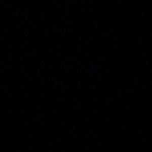 Meet your Posher, Abigail